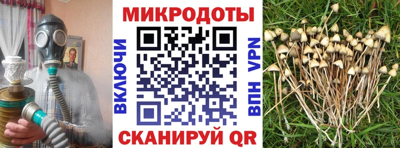 мега маркетплейс  Анжеро-Судженск  Галлюциногенные грибы мухоморы 